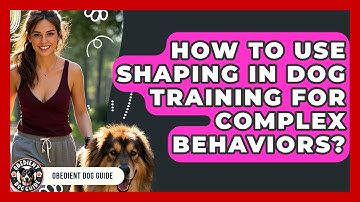 How To Use Shaping In Dog Training For Complex Behaviors? - Obedient Dog Guide
