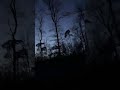 ATIL KURT 🐺👀 KİMSE GÖRMEDEN