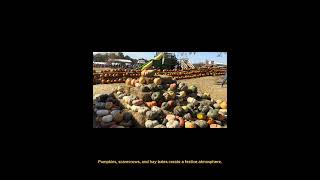 Vertical Text Over Video