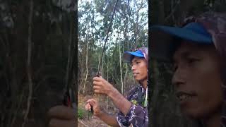 Download Lagu mikat burung #kemande #sogon #kemandekacamata MP3 Download Lagu mikat burung #kemande #sogon #kemandekacamata MP3