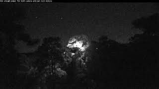 Kisatchie National Forest E-1 Canopy cam