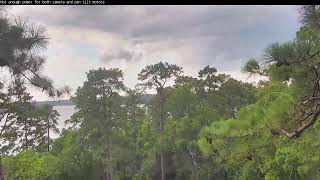 Preview of stream Kisatchie National Forest E-1 Canopy cam