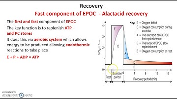 EPOC  - Fast Component