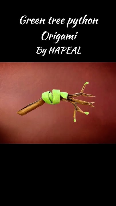 【折り紙】ミドリニシキヘビ/Green tree python Origami #shorts - YouTube