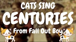 Cats Sing Centuries by Fall Out Boy | Cats Singing Song