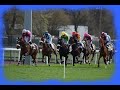 Quint  du samedi 02 avril 2022  mes pronostics et reprs r4 