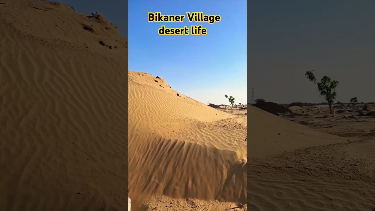 Exploring BIKANER Village Life Like Never Before!