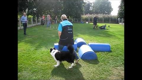 Gehoorzaamheid Sky: HS Snuffel