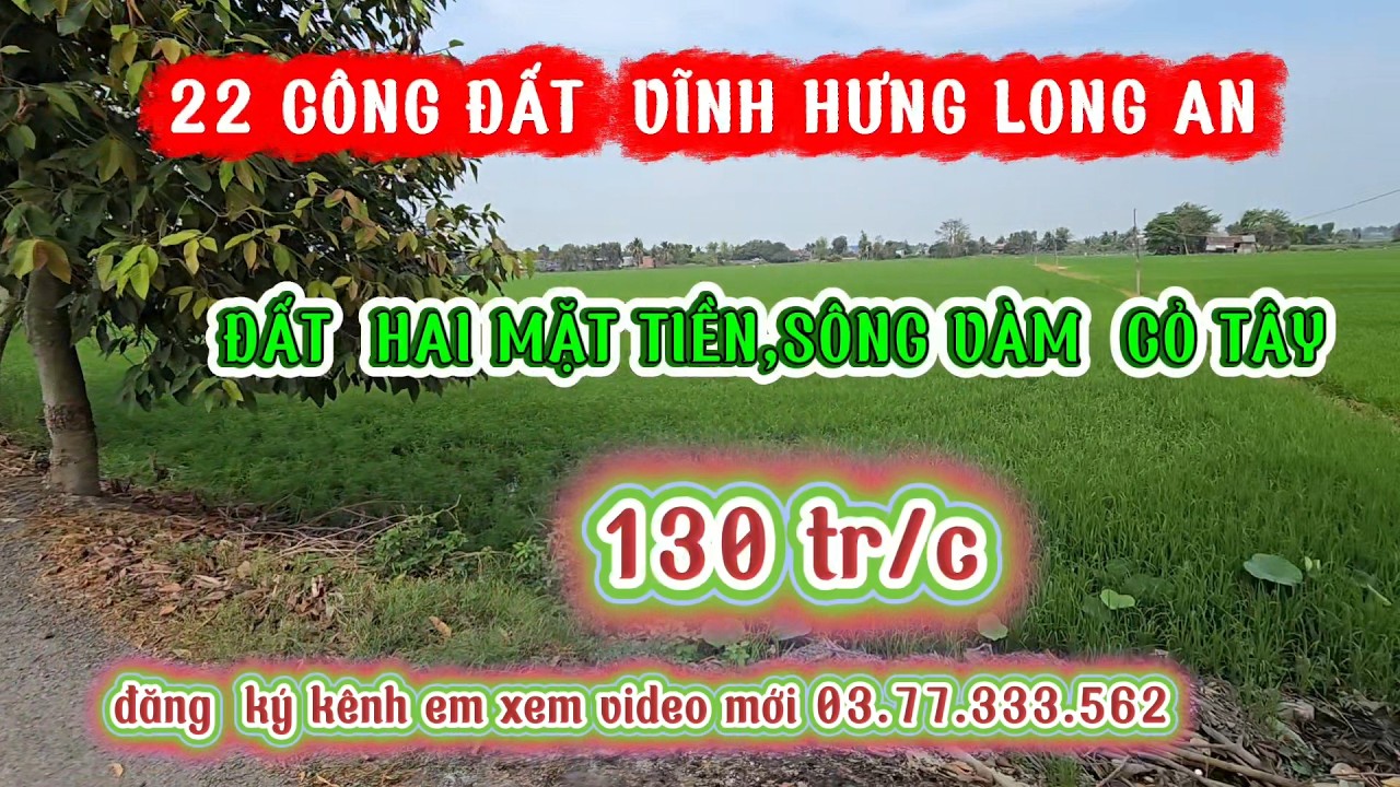 Bán  22 công đất  vĩnh Hưng long an, mặt tiền sông vàm  cỏ tây, 90x260 giá 130 tr/c