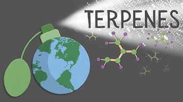 Terpenes: definition, functions and biosynthesis