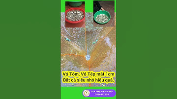 Trên tay vó tôm, vó tép 1.7m×1.7m. Bắt cá siêu nhỏ hiệu quả. Catfishing, net fishing #shorts
