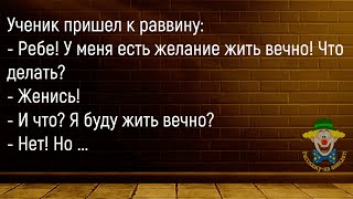 🤡Две Блондинки Пришли В Зоопарк...Сборник Новых,Смешных До Слёз Анекдотов,Для Супер Настроения!