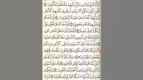 سورة النحل من آية ٥١ حتى آية ٨٩ !!!