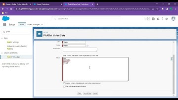 Create a Global Picklist Value Set #inSalesforce