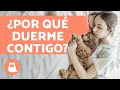 ¿Por qué tu perro duerme contigo? - 6 motivos que te encantarán