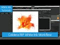 Caldera RIP White Ink Workflow