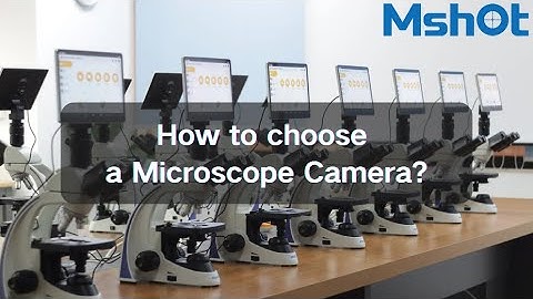 How to choose a Microscope Camera?｜MD28-A、MSX11、MDX10