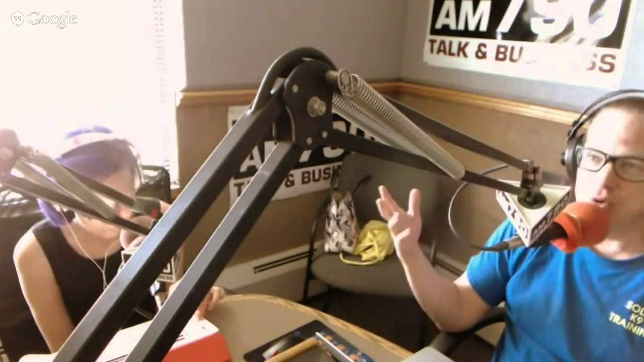 dog trainer in delhi What Would Jeff Do 8 1 2015 Dog Training Radio Show