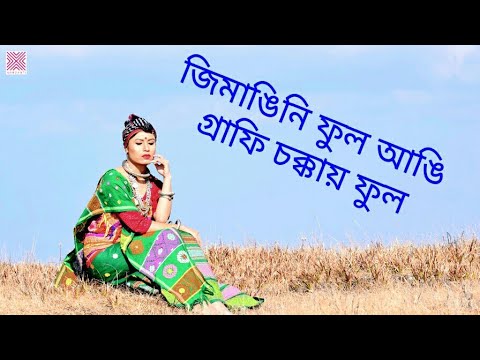 Jumangini Phool angi  ALBUM  PAITI  Singer   Janmeswari Rabha