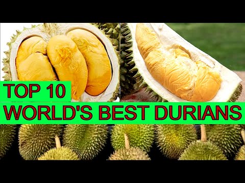 Local Name Of Durian