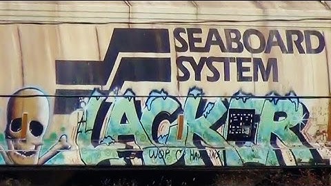 Seaboard System Cars on CSX Train