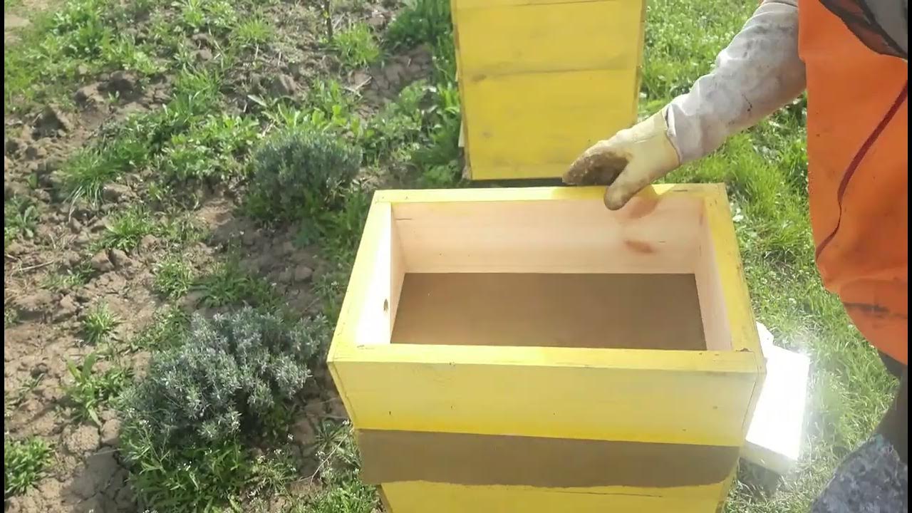 Весенняя обработка пчел от клеща. Борьба с клещом варроа весной. Обработка пчел от клеща весной чем лучше.