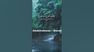 سورة الأعلى تلاوة عطرة للقارئ عبد الرحمن مسعد