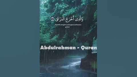 سورة الأعلى تلاوة عطرة للقارئ عبد الرحمن مسعد