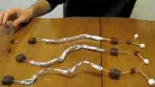 DNA1.mov