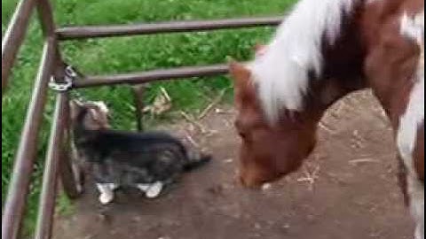 Tucky. 15 days post-surgery.