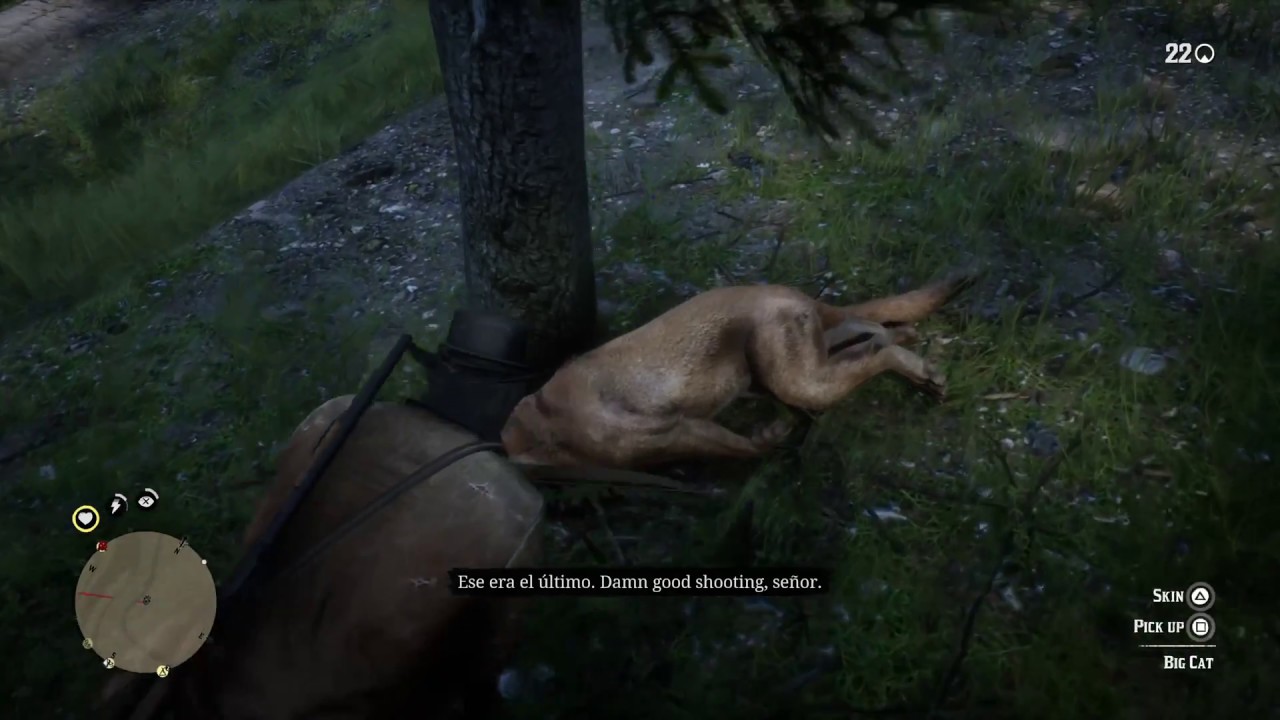 Red Dead Redemption 2 killing a cougar - YouTube.