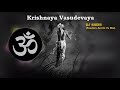 Krishnaya Vasudevaya - Pandora Astrix Edit Vs DJ Shins