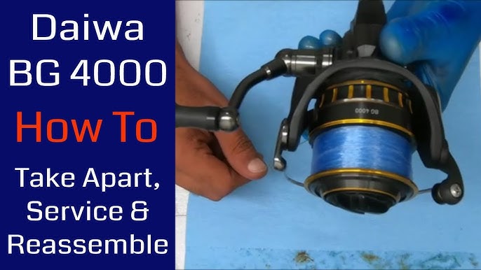 Daiwa BG 4000 Review - After 5 Years of ABUSE (Best Reel for Around $100?)  