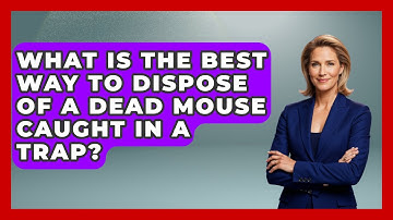 What Is The Best Way To Dispose Of A Dead Mouse Caught In A Trap? - Insects and Invaders