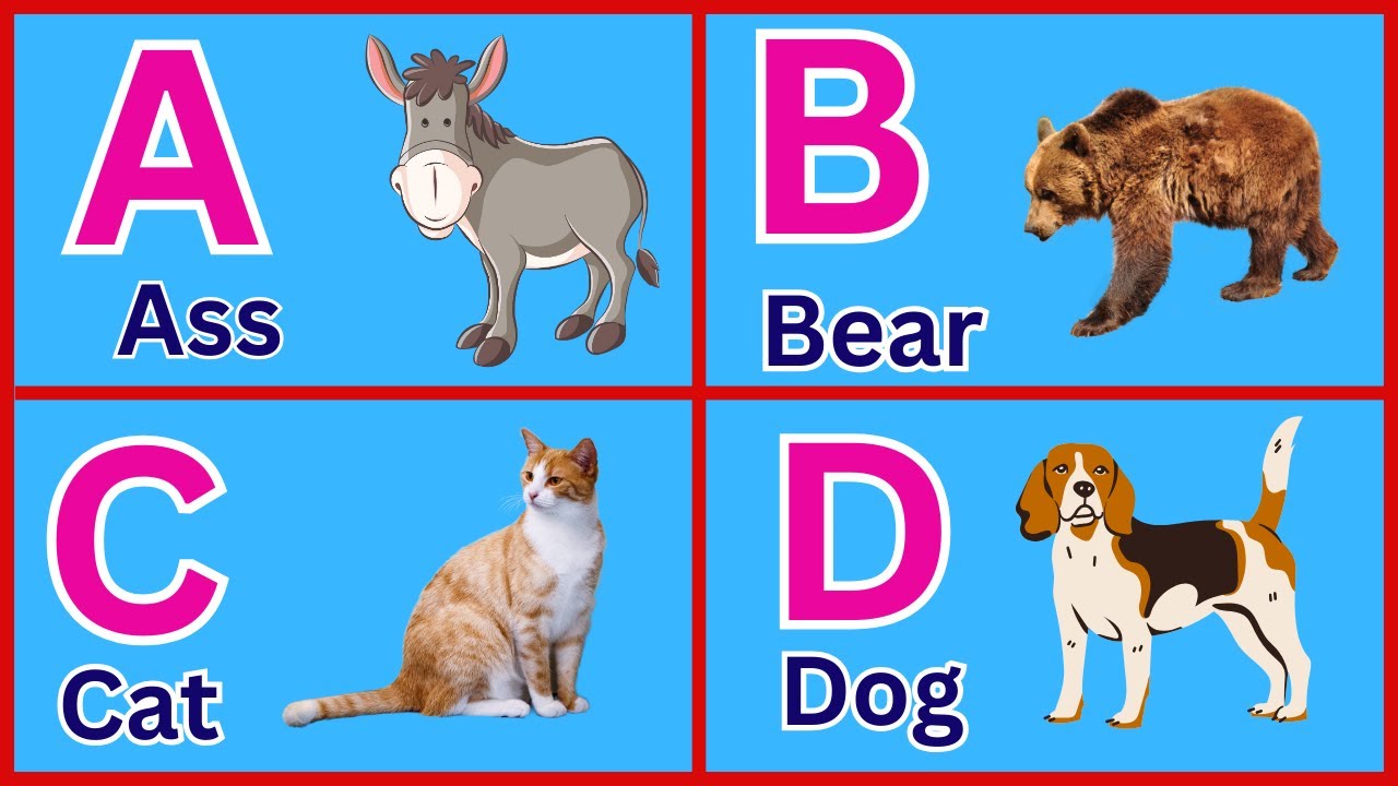 a for ass, b for bear, c for cat, d for dog, english varnamala,abcd ...