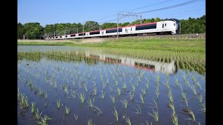 E259系特急成田エクスプレス 水鏡になったモノサクの田んぼを行く 2022年5月4日