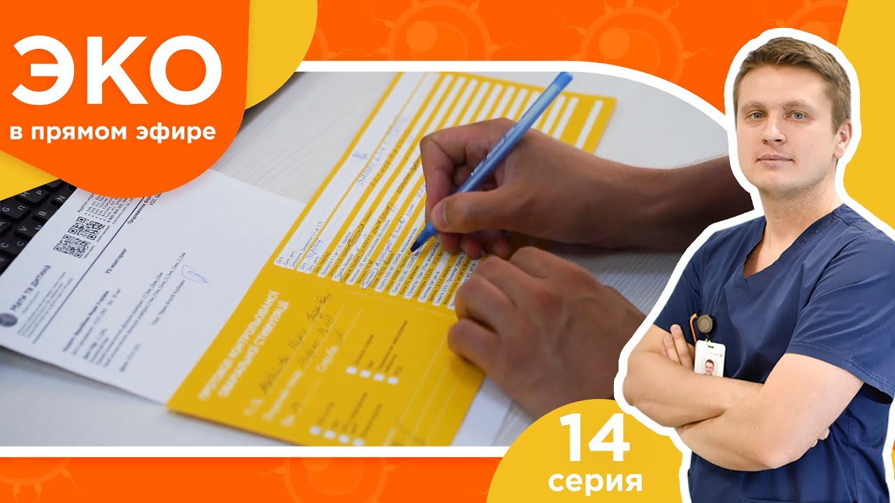 ЭКО в прямом эфире - 14 серия - Подготовка к пункции, проверка ...