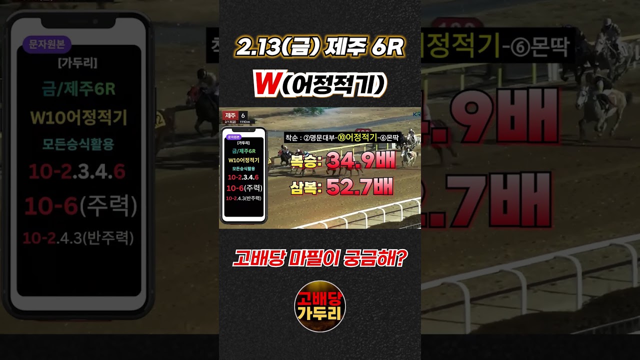 경마 고배당 마필이 궁금해???