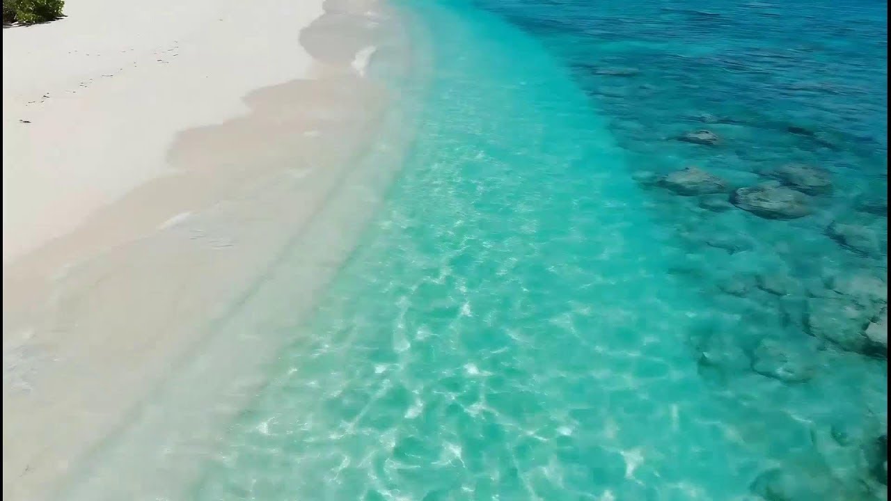 Relax FM 2025 🎧 Tropical Chill EDM + Deep House Study Music