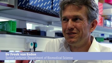 Applying for a PhD in Science