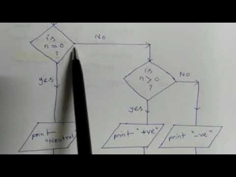 Flowchart: To check a given number is Positive or Negative - YouTube