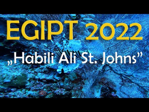 KNS Rozbark - EGIPT 2022 "Habili Ali St. Johns"