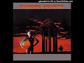 STRANGE ADVANCE - Prisoner