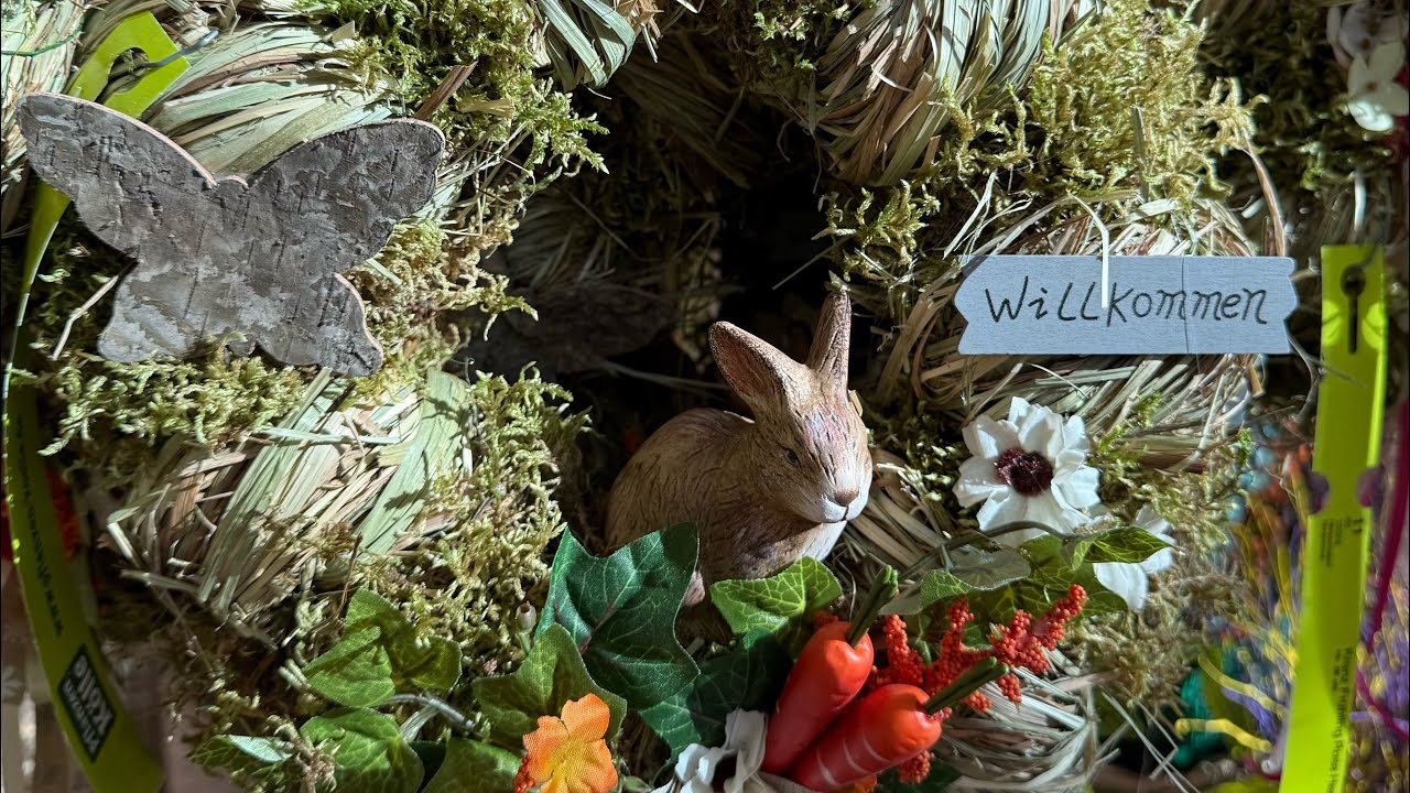 Приехала в садовый центр за саженцами роз 🌹🌹🌹