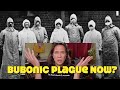 Bubonic Plague is Back? People, Please Stop Eating Meat! Please!