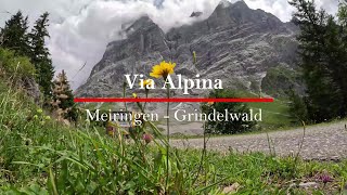 Hiking the Via Alpina Trail 10(Meiringen - Grindelwald),Switzerland 4k