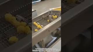 Cheese Ball Rice Ball Rotary Breading Machine Test Before Delivery for Italian Customer