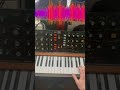 All loops in my channel