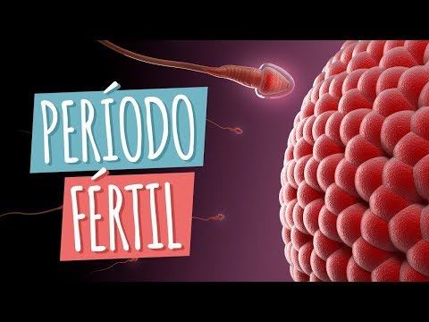 Cómo calcular los días fértiles