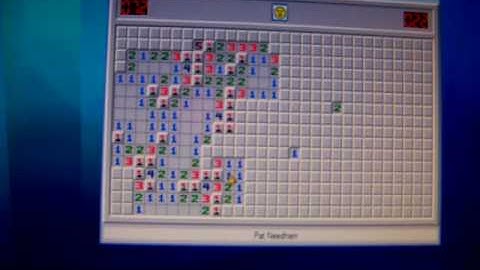 Minesweeper Expert 88